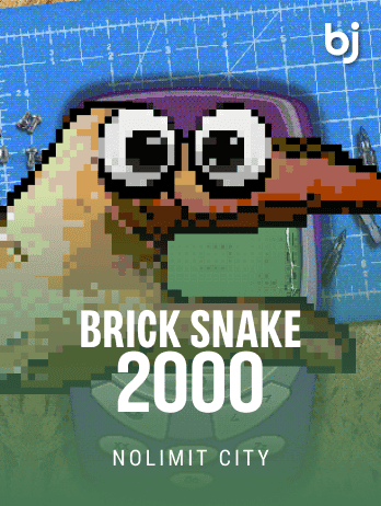 Brick Snake 2000 icon